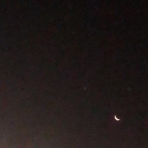 Meet your Posher, Josh